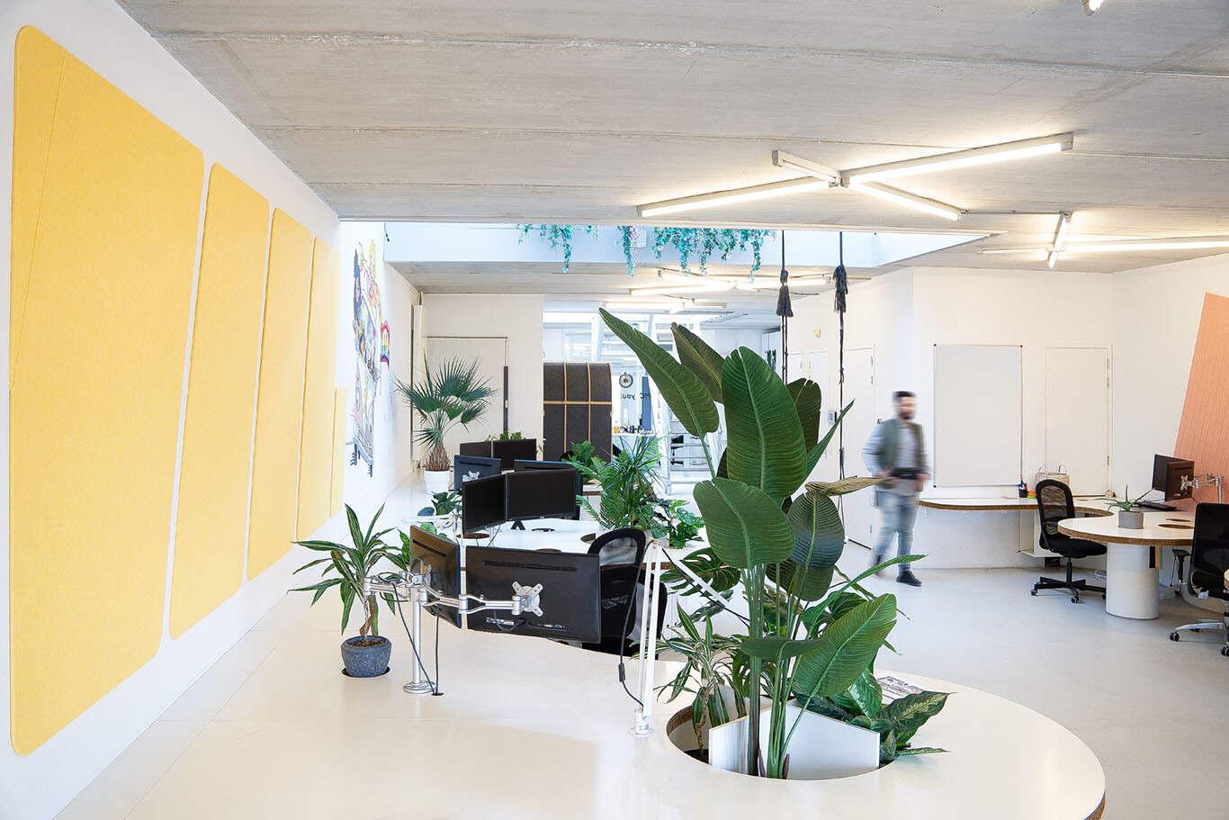 we are MOSO – YTA- Groen op kantoor Kantoorinrichting met planten en akoestische materialen om een gezonde werkruimte te creëren.